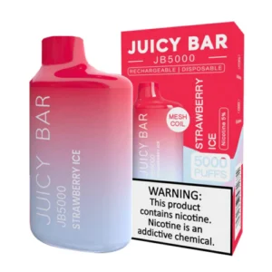 JUICY BAR 5000 STRAWBERRY ICE 10CT