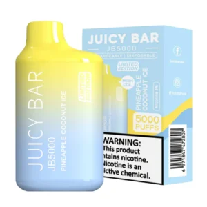 JUICY BAR 5000 PINEAPPLE COCONUT ICE 10CT