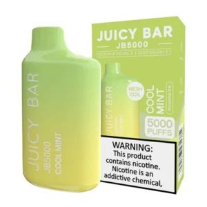 JUICY BAR 5000 COOL MINT 10CT