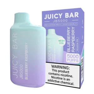 JUICY BAR 5000 BLUEBRY RASP 10CT